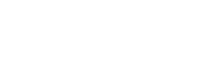 tag_Ini-Logos_netzwerk-courage