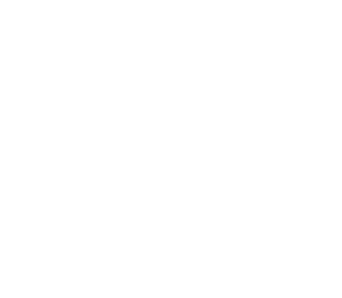 The Activists Guide